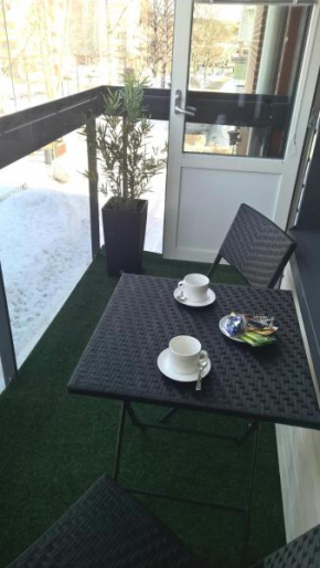 City Apartments With Balcony in Rovaniemi